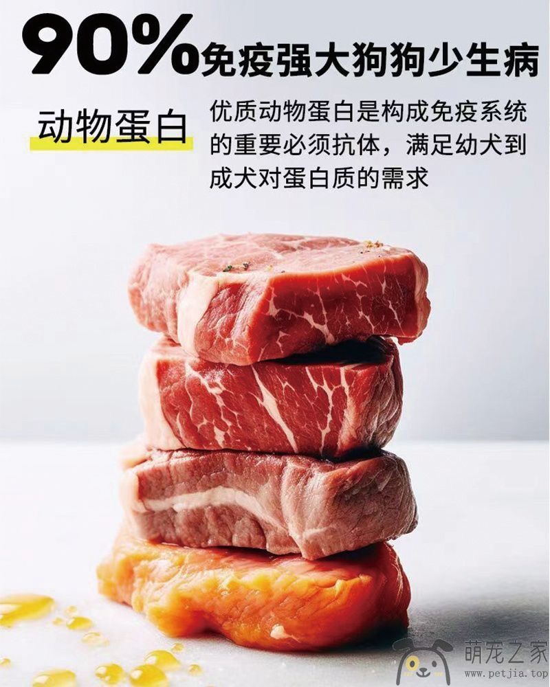 通用型40斤装金毛拉布拉多成犬幼犬口粮中大型犬大袋主粮20kg(图5)