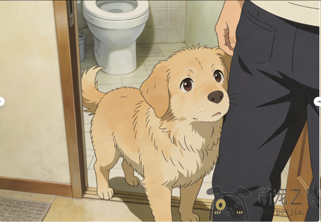 “缺爱”的狗狗，都有这些典型表现！- 宠物之家 