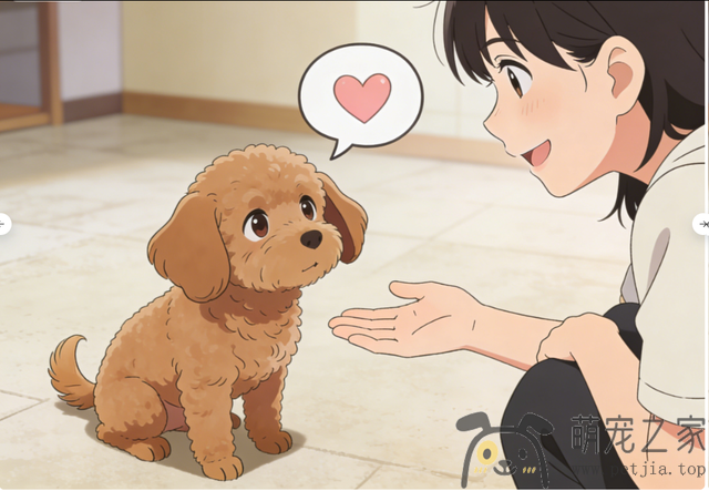 “缺爱”的狗狗，都有这些典型表现！- 宠物之家 