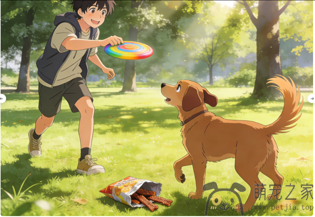 “缺爱”的狗狗，都有这些典型表现！- 宠物之家 