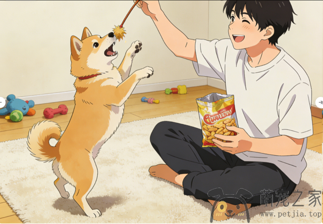 “缺爱”的狗狗，都有这些典型表现！- 宠物之家 